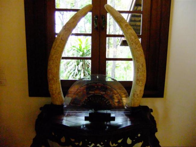 DSCF8573 (Medium).JPG